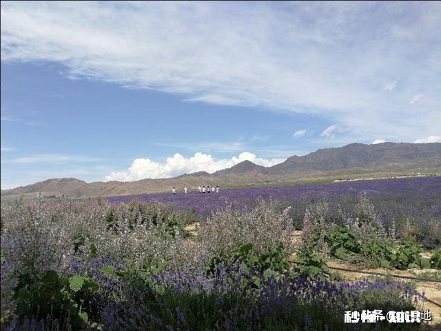 农产品价格上涨对农民对整个社会，有什么好坏处