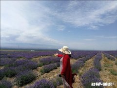 农产品价格上涨对农民对整个社会，有什么好坏处