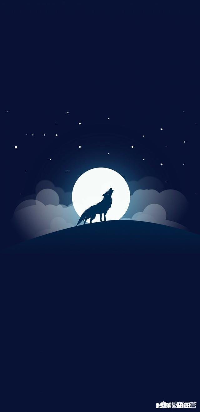 爱上一个不爱的人是什么体验，能说出你的故事吗