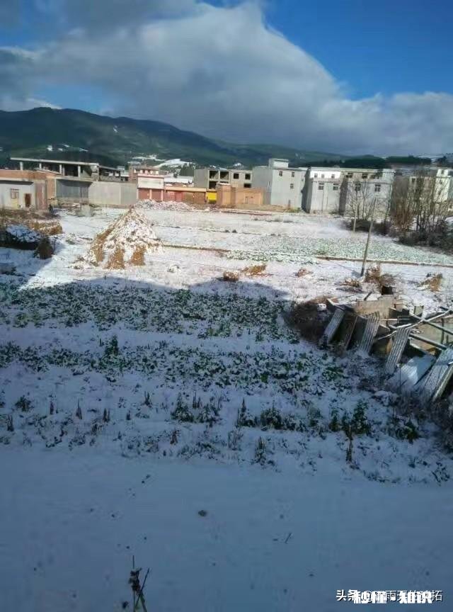 农村谚语：腊雪是宝，春雪不好。是什么意思