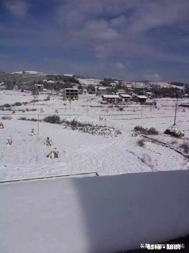 农村谚语：腊雪是宝，春雪不好。是什么意思