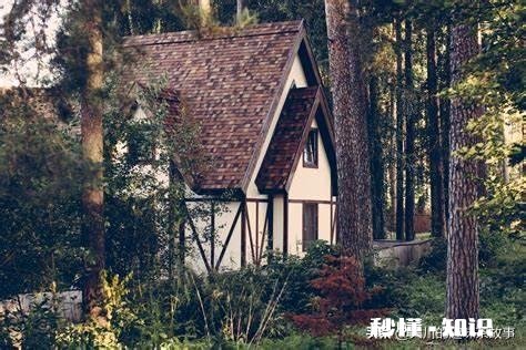 农村老人说的“树夹屋堂夹房，不败也得亡”，你怎么看为什么