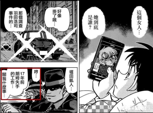 大家觉得《名侦探柯南》里的领妹一旦拿到解药恢复原型后，会对黑衣组织发动怎样的反击