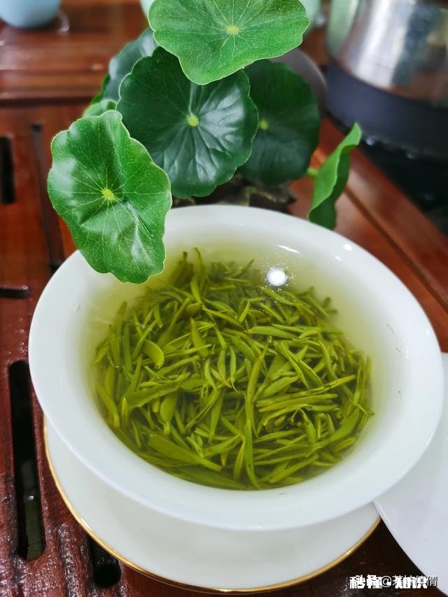 下雨天采摘茶叶，需要注意什么呢对茶叶的品质会有影响吗