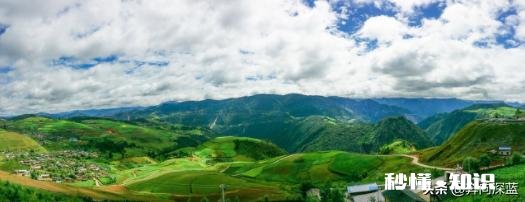 下雨天采摘茶叶，需要注意什么呢对茶叶的品质会有影响吗