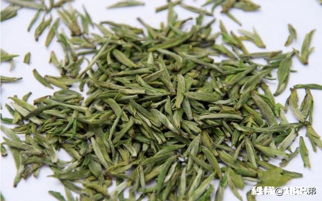 下雨天采摘茶叶，需要注意什么呢对茶叶的品质会有影响吗