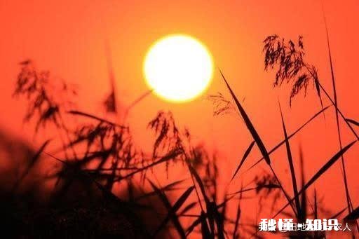 人过五十岁后，为什么与同学、朋友联系与交往会越来越少