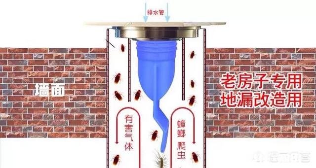 卫生间有味有什么办法解决