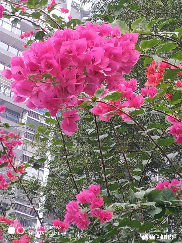 自己发生过最糟糕的故事是什么