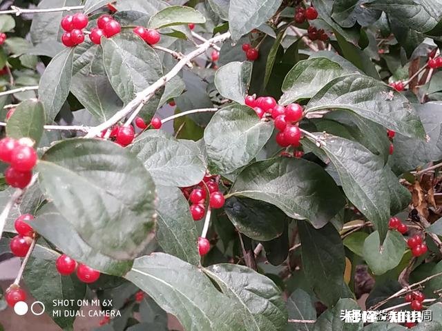 自己发生过最糟糕的故事是什么