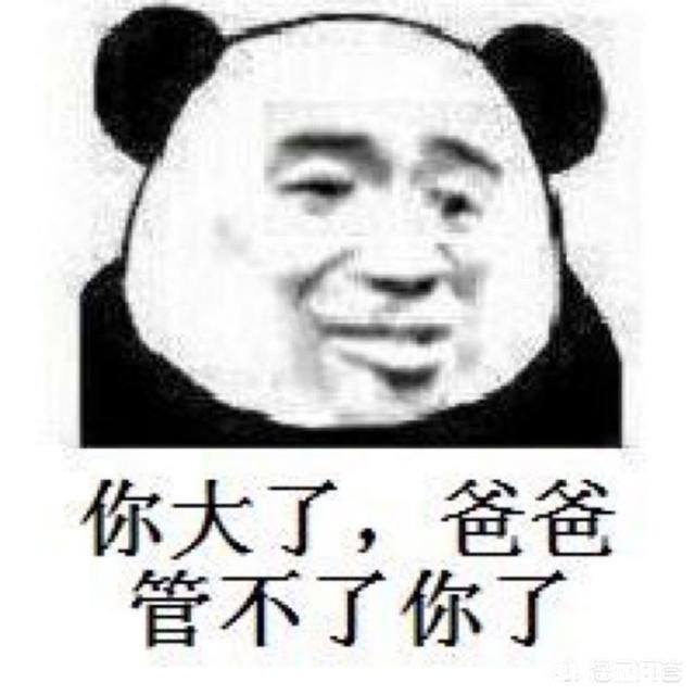 有哪些可爱的表情包,和朋友聊天用的