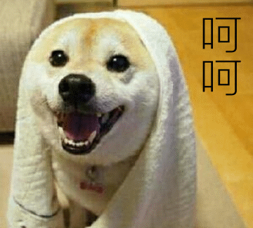 有哪些可爱的表情包,和朋友聊天用的