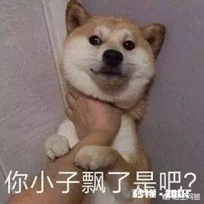 有哪些可爱的表情包,和朋友聊天用的