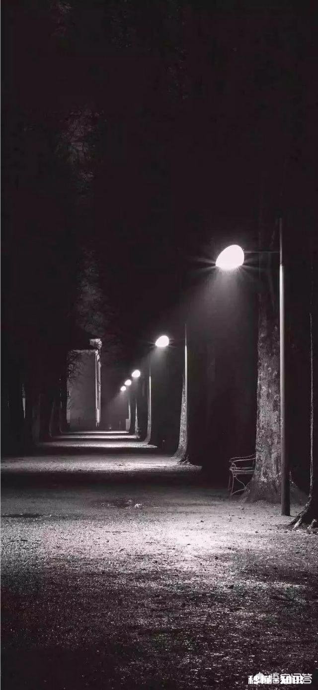 有哪些可爱的表情包,和朋友聊天用的