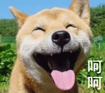 有哪些可爱的表情包,和朋友聊天用的