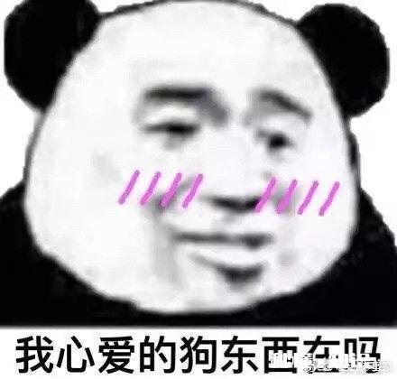 有哪些可爱的表情包,和朋友聊天用的