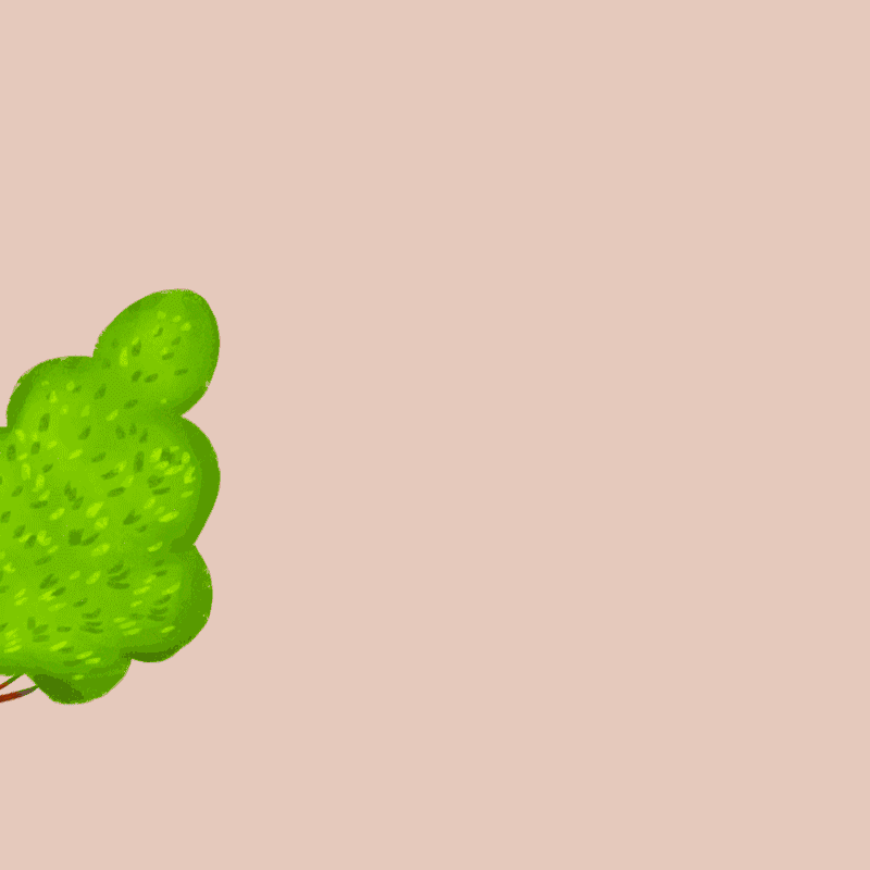 如果有一天地球自转和太阳同步会发生什么