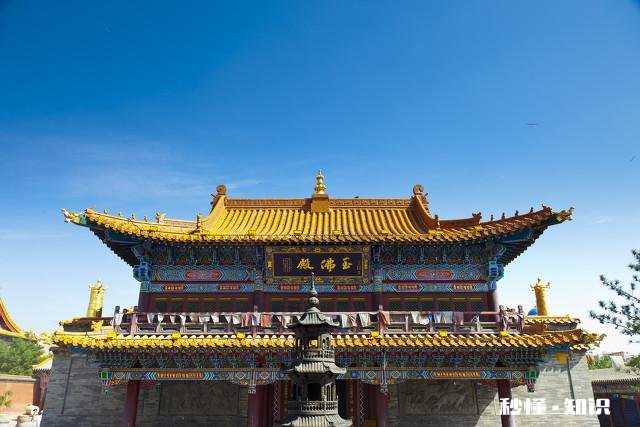 提到呼和浩特市,你会想到什么