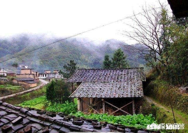 进城买了房的农民,当你到了不惑之年有没有想回农村呢