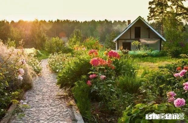 进城买了房的农民,当你到了不惑之年有没有想回农村呢