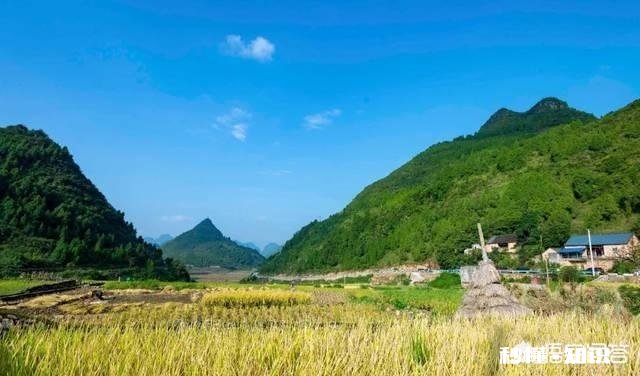 进城买了房的农民,当你到了不惑之年有没有想回农村呢