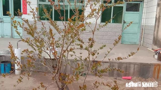 进城买了房的农民,当你到了不惑之年有没有想回农村呢