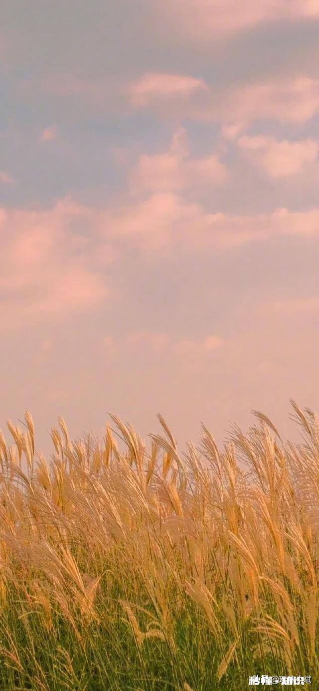 随着科技的发展,人类是否有一天可以借助飞行器在天空自由翱翔,而不像现在坐飞机呢你怎么看