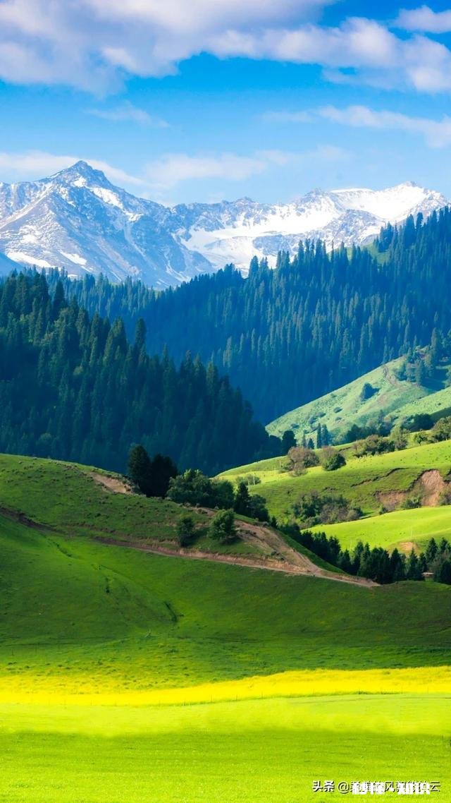 你认为诗品与人品是否可以对等