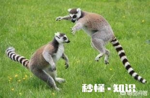 大学的时候在宿舍发生过什么有趣的事