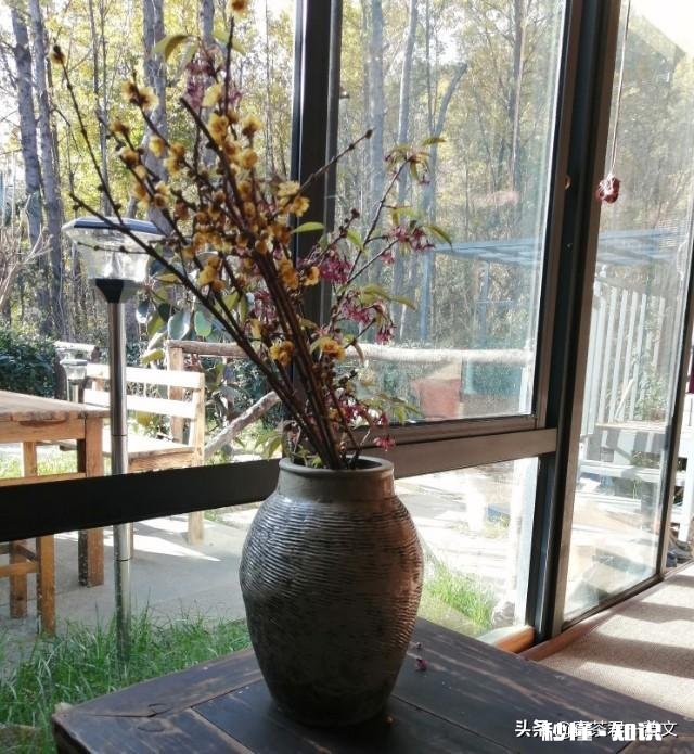 有哪些靠谱的普洱茶店铺可以分享多少价位的普洱茶适合自饮