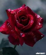 如果偶遇你的初恋，你的心情是甜还是酸呢