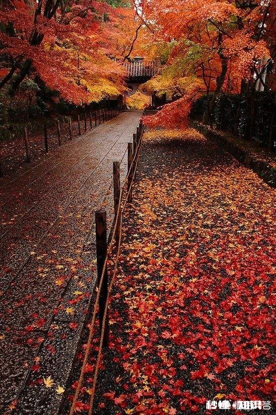 你最拿手的一首诗歌是什么