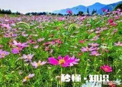 你最拿手的一首诗歌是什么