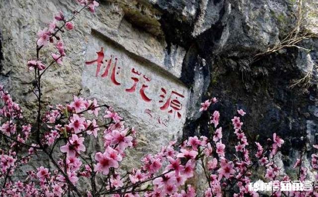 “心灵”在你心里究竟是什么