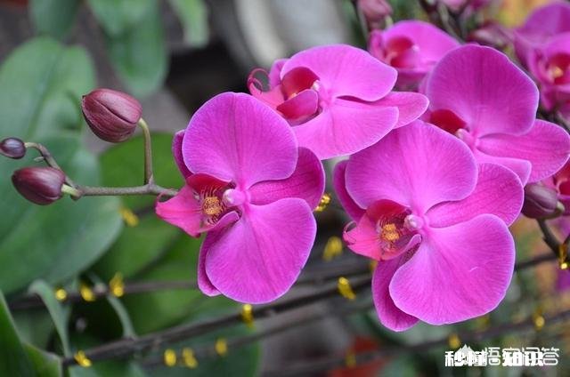 “心灵”在你心里究竟是什么