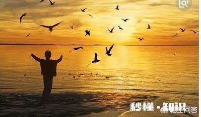 “心灵”在你心里究竟是什么