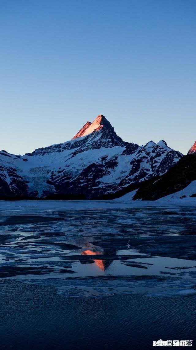 “心灵”在你心里究竟是什么