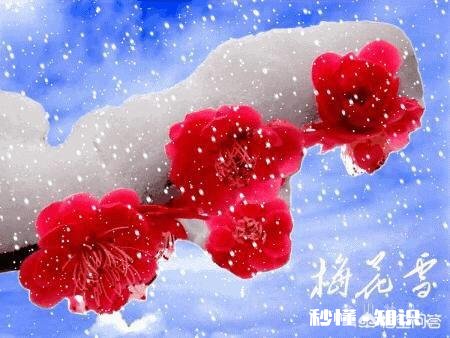 如今还有多少人自己写春联呢,你怎么看