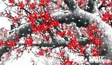 如今还有多少人自己写春联呢,你怎么看