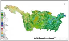 长江沿江地带是我国重要的农业区，而且工业基础雄厚，如何做到人与自然和谐发展
