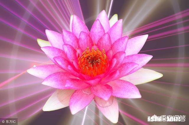 为什么人总是爱回忆过往的事