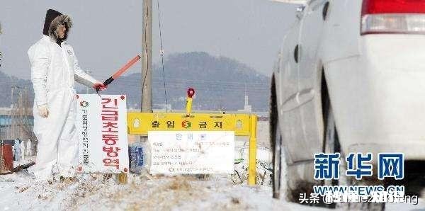 韩国与伊朗相比，哪个国家应对疫情更有控制能力