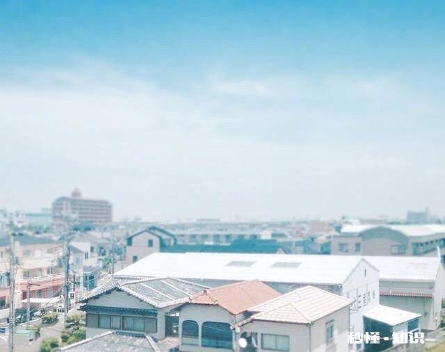 厦门哪家闽南菜餐厅值得前去