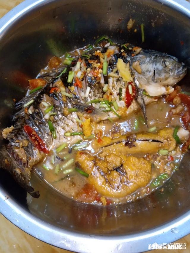 市场上目前上市的小龙虾是不是都是人工养殖的呢