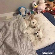 作了一个全职宝妈，但是老公觉得你一天什么也不干，该怎么办