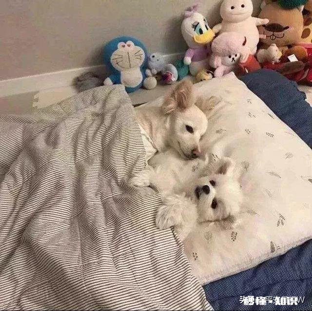 作了一个全职宝妈，但是老公觉得你一天什么也不干，该怎么办