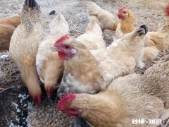 你在2019做过最后悔的事是什么呢