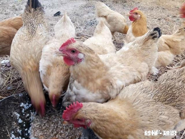 你在2019做过最后悔的事是什么呢