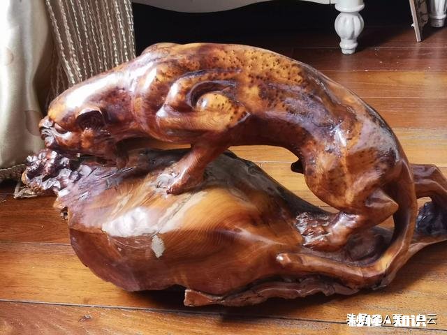 类似于这样的树瘤值钱吗有没有收藏价值