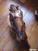 类似于这样的树瘤值钱吗有没有收藏价值